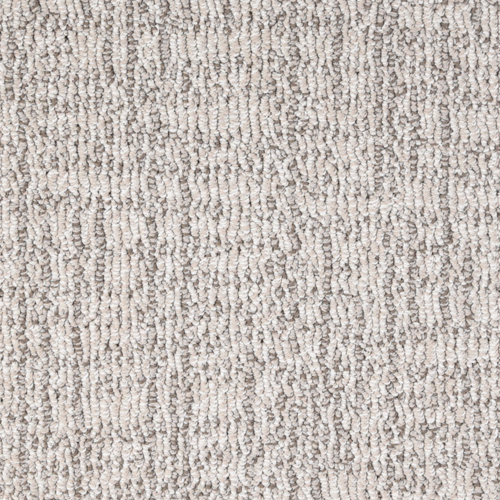 Modern Mesh