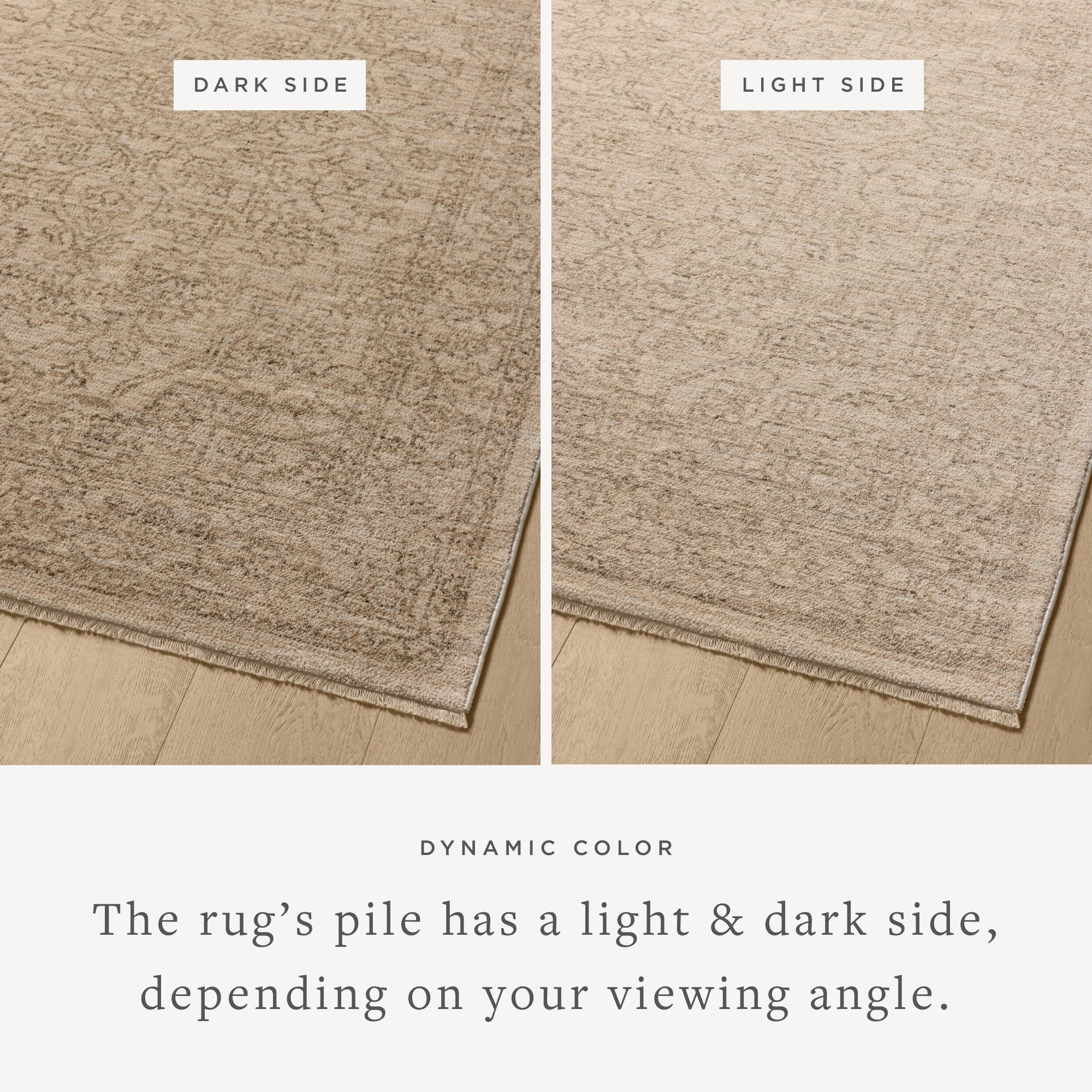 NEW-01 TAUPE / BONE