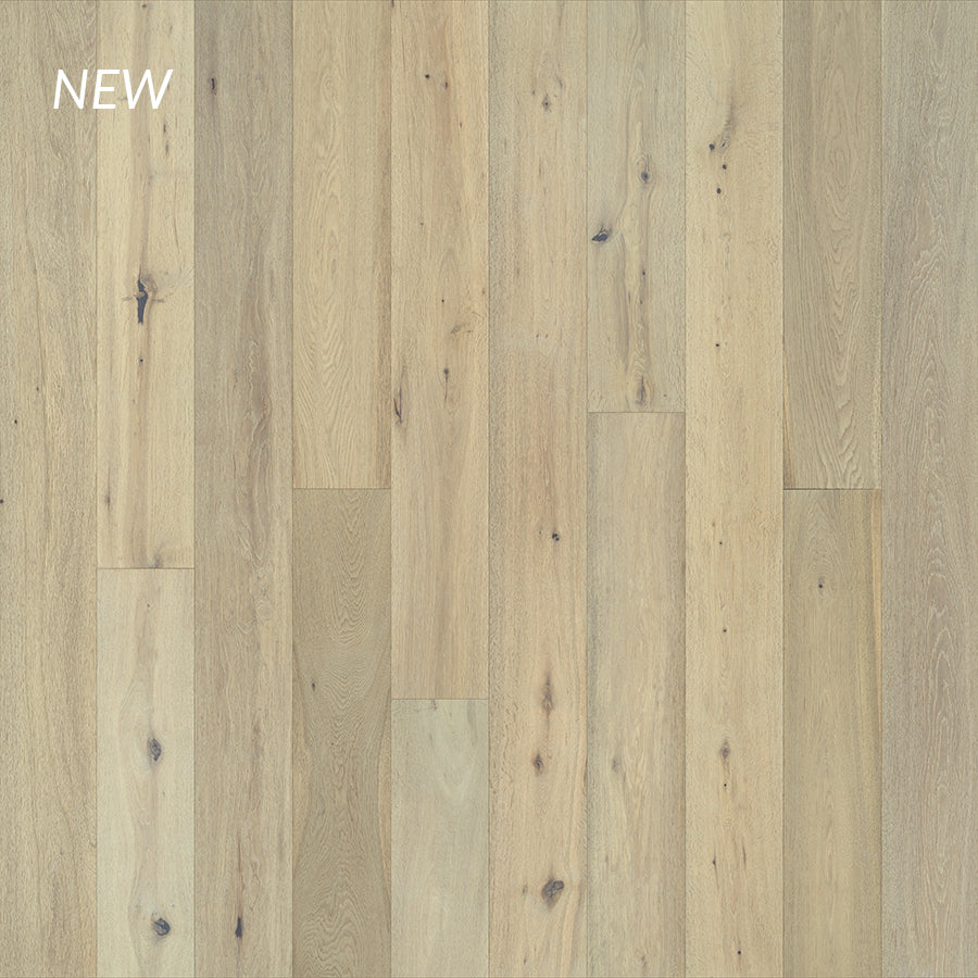 Lotus Oak