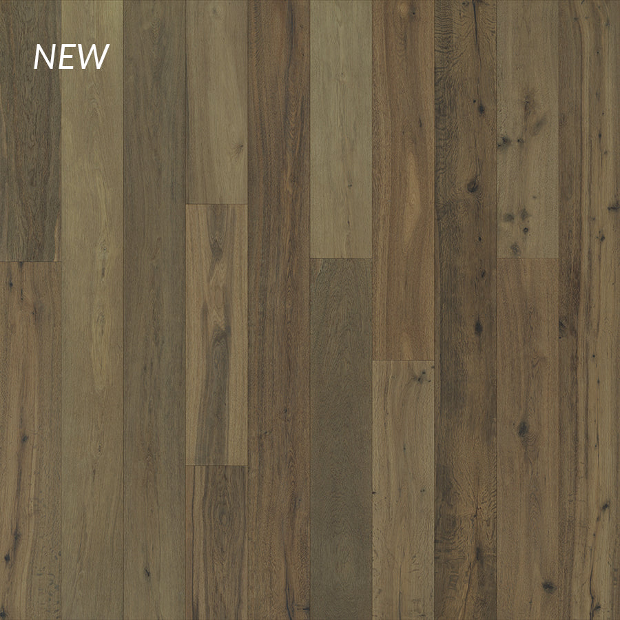 Bergamot Oak