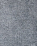 Metallic Nuance - Silver Blue #1