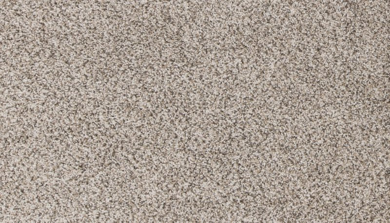 Mohawk Flooring Canine Comfort