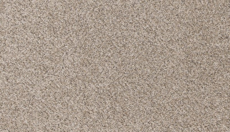 Mohawk Flooring Canine Comfort