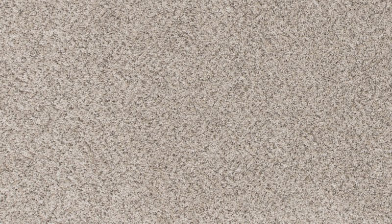 Mohawk Flooring Canine Comfort