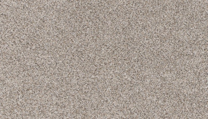 Mohawk Flooring Canine Comfort