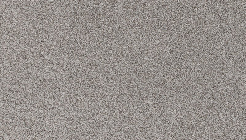 Mohawk Flooring Canine Comfort