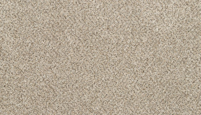 Mohawk Flooring Canine Chic