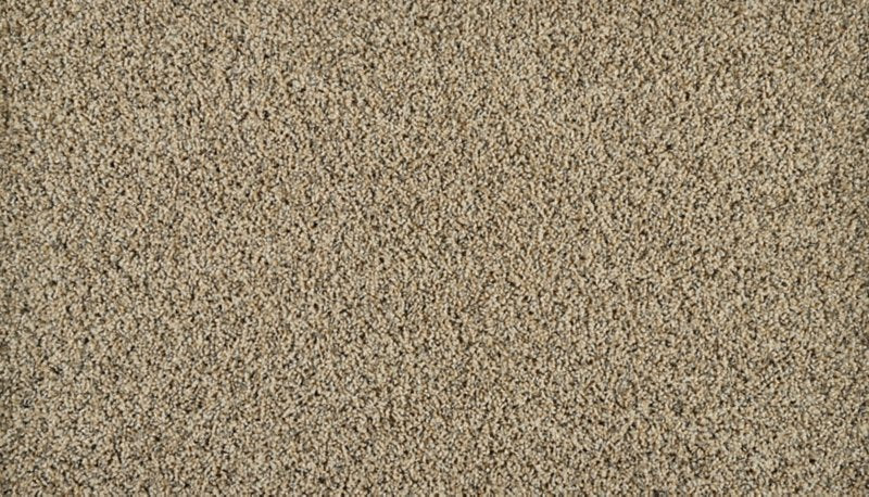 Mohawk Flooring Exhilarating