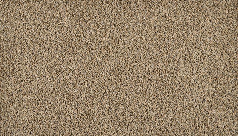 Mohawk Flooring Exhilarating