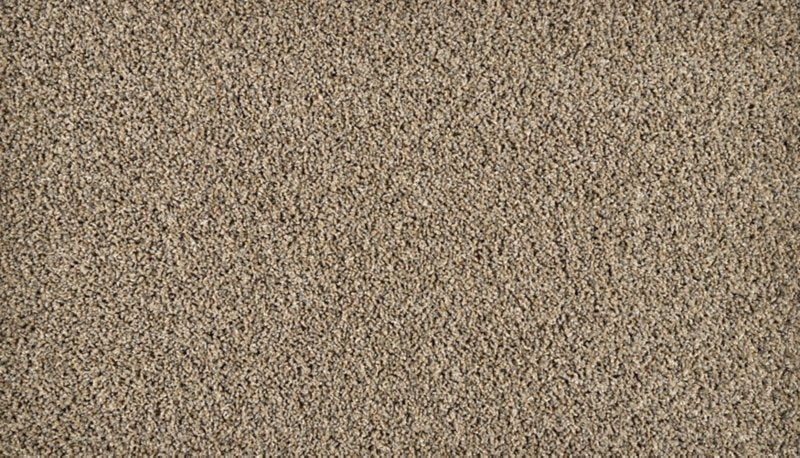 Mohawk Flooring Exhilarating