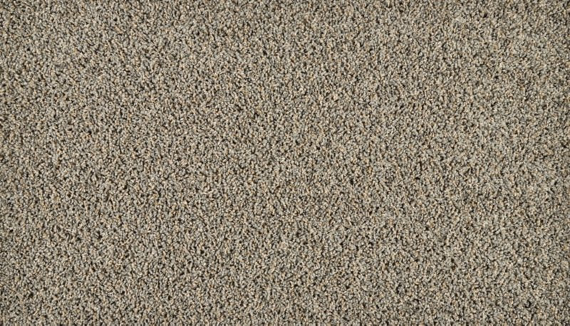 Mohawk Flooring Exhilarating
