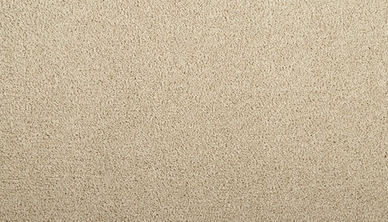 Mohawk Flooring Zenith