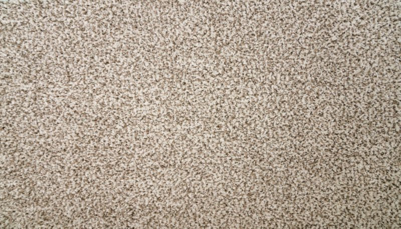 Mohawk Flooring Natural Selection I