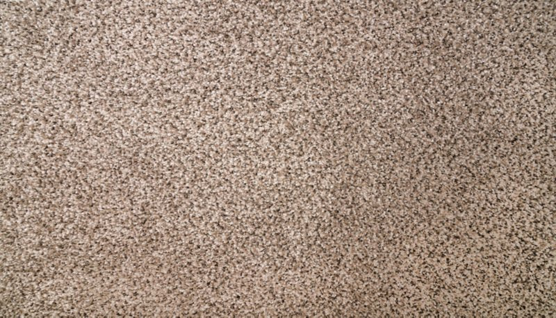 Mohawk Flooring Natural Selection I