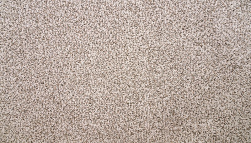 Mohawk Flooring Natural Selection I