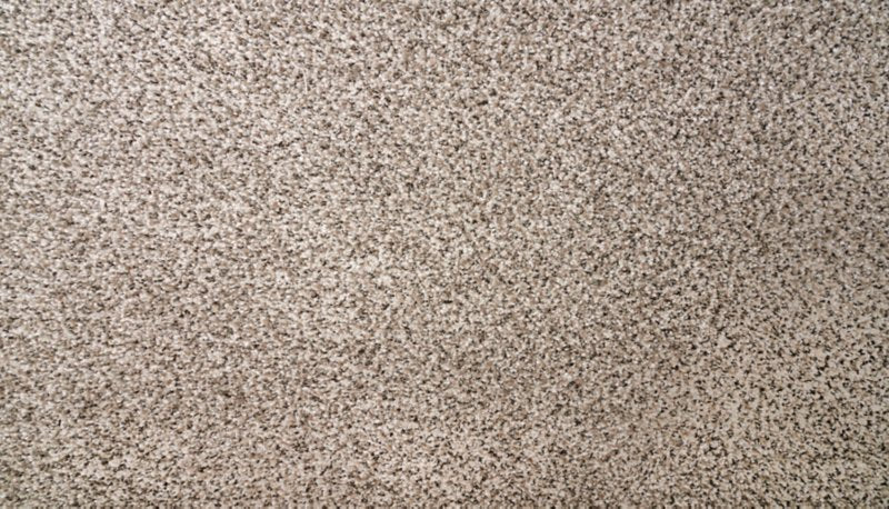 Mohawk Flooring Natural Selection I