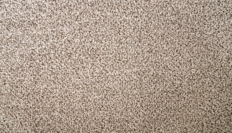 Mohawk Flooring Natural Selection II