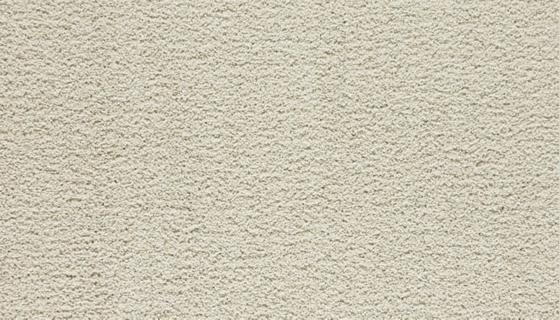 Mohawk Flooring Paw Pathway