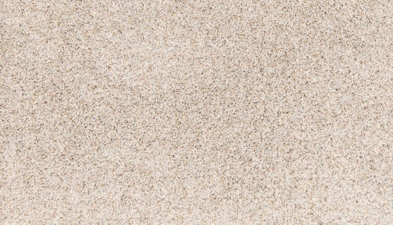 Mohawk Flooring Paw Pathway