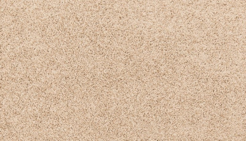 Mohawk Flooring Paw Pathway