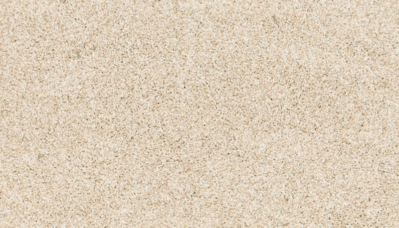 Mohawk Flooring Paw Pathway