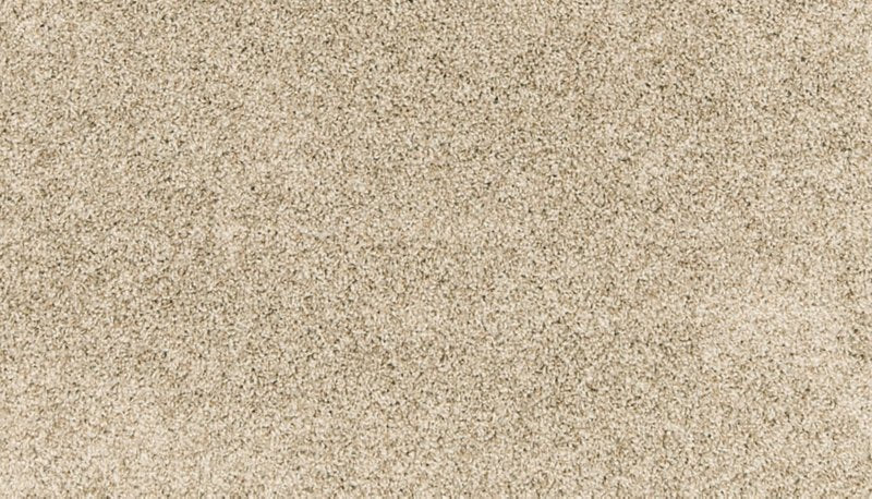 Mohawk Flooring Paw Pathway