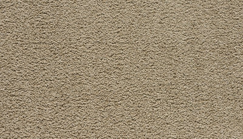 Mohawk Flooring Paw Pathway