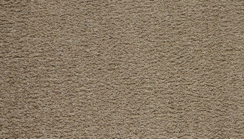Mohawk Flooring Paw Pathway