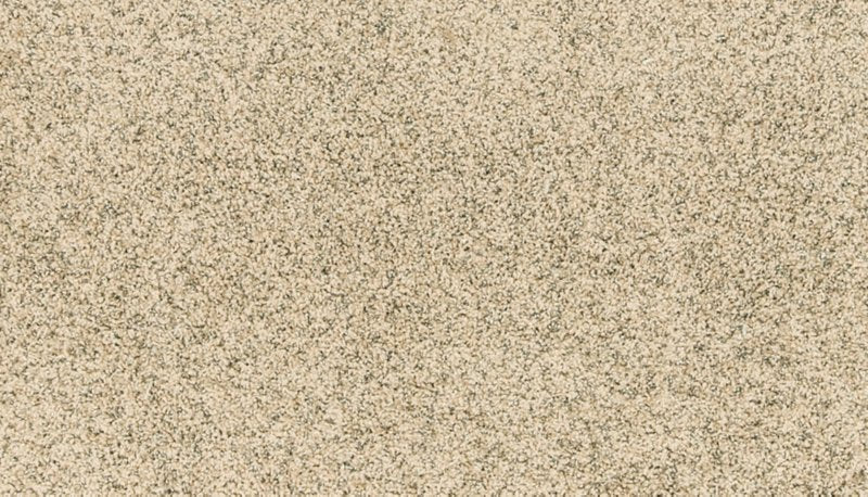 Mohawk Flooring Paw Pathway