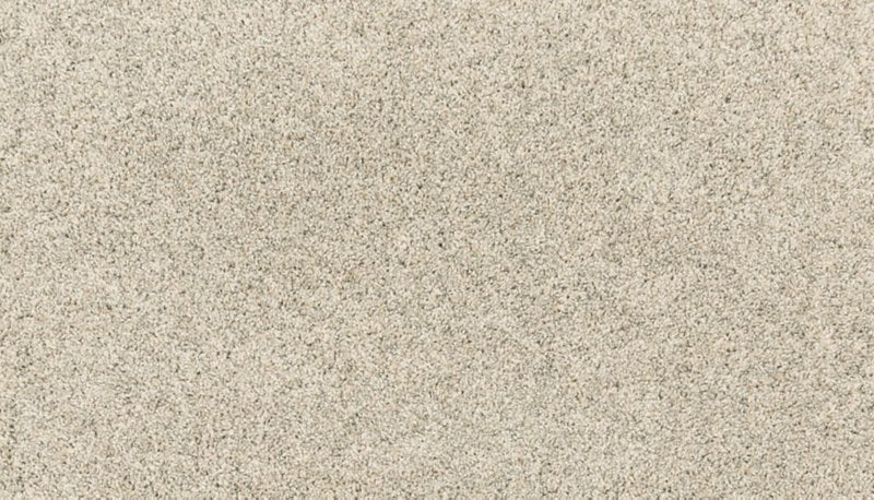 Mohawk Flooring Paw Pathway