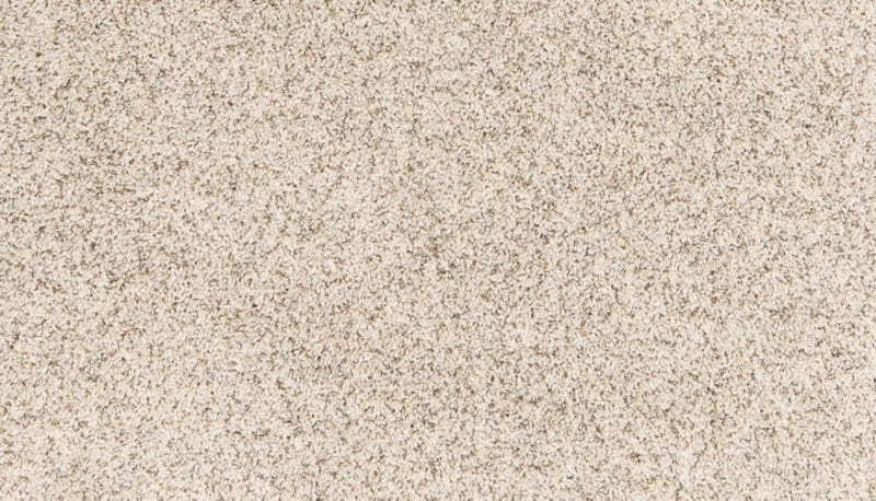 Mohawk Flooring Paw Pathway