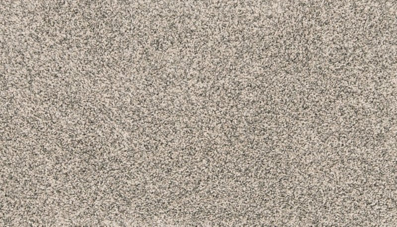 Mohawk Flooring Paw Pathway
