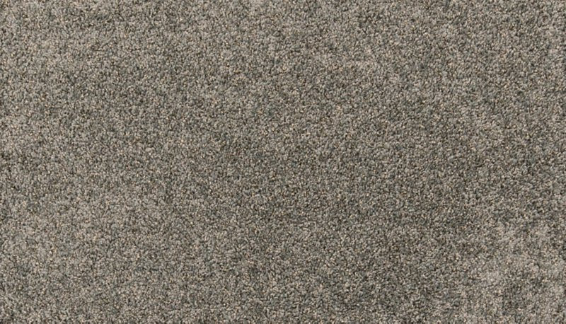 Mohawk Flooring Paw Pathway