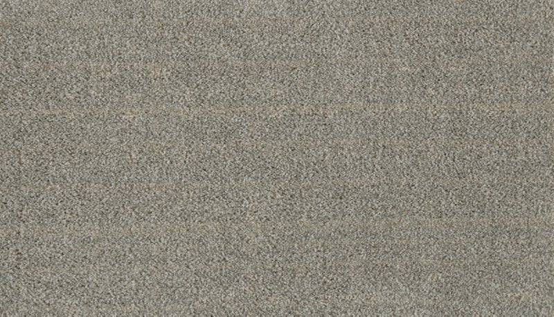 Mohawk Flooring Paw-Some Plaid