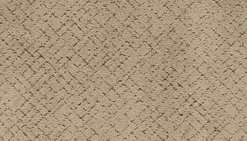 Mohawk Flooring Luxuriant Weave