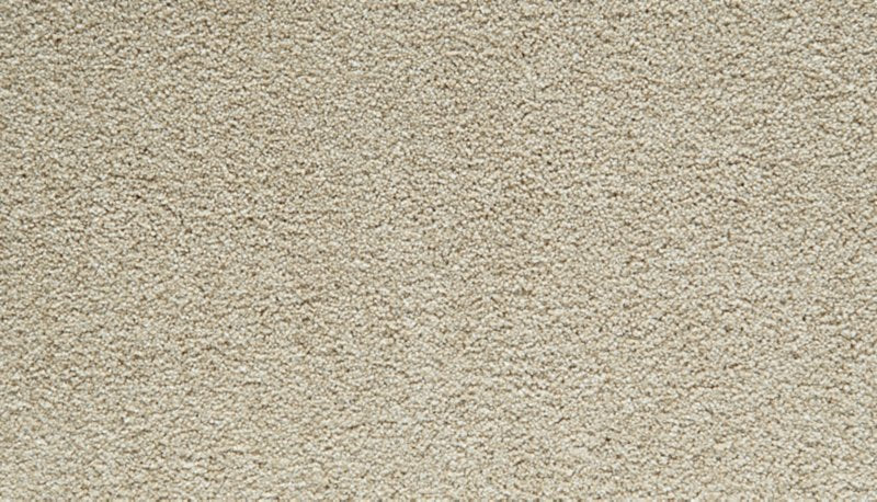 Mohawk Flooring Gentle Guardian I