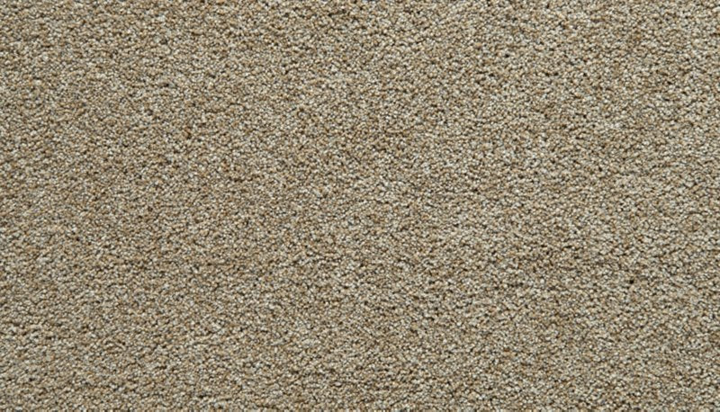 Mohawk Flooring Gentle Guardian I