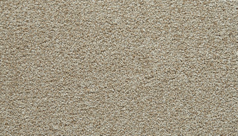 Mohawk Flooring Gentle Guardian II