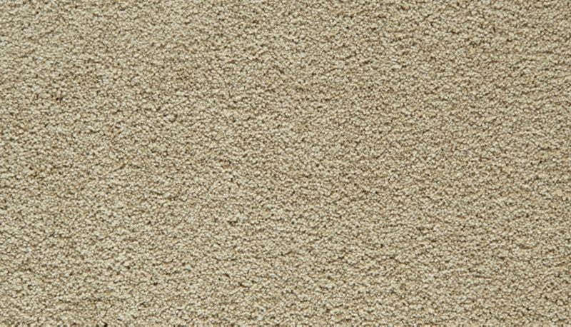 Mohawk Flooring Gentle Guardian IV