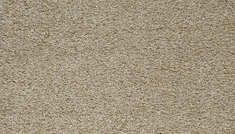 Mohawk Flooring Gentle Guardian IV