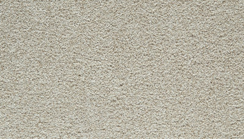 Mohawk Flooring Cozy Companion I