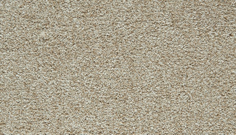 Mohawk Flooring Cozy Companion I