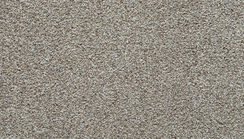 Mohawk Flooring Cozy Companion I