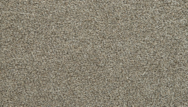 Mohawk Flooring Cozy Companion I