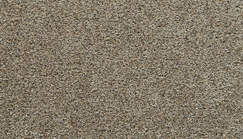 Mohawk Flooring Cozy Companion I