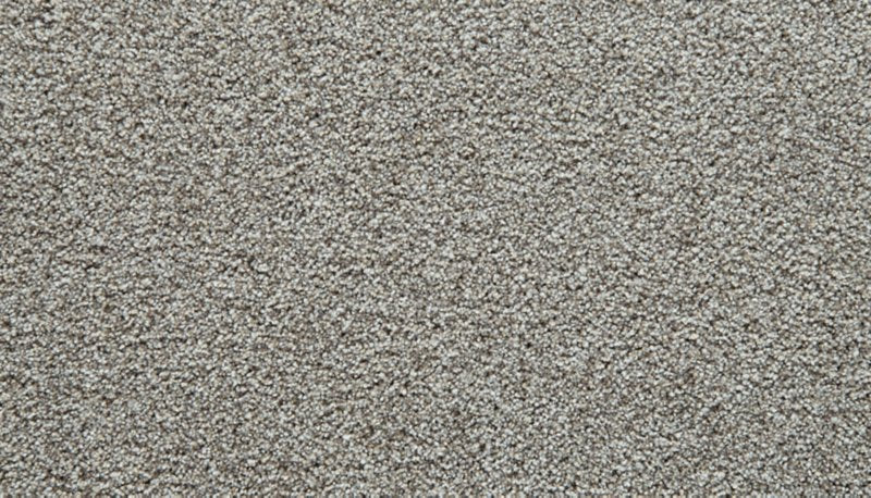 Mohawk Flooring Cozy Companion I