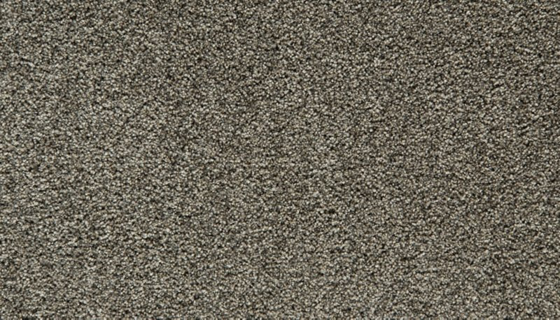 Mohawk Flooring Cozy Companion I