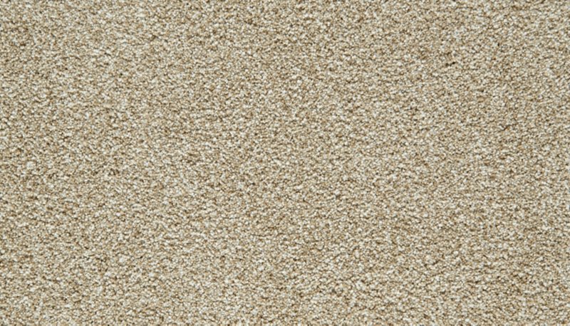 Mohawk Flooring Cozy Companion II