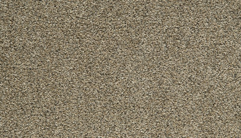 Mohawk Flooring Cozy Companion II