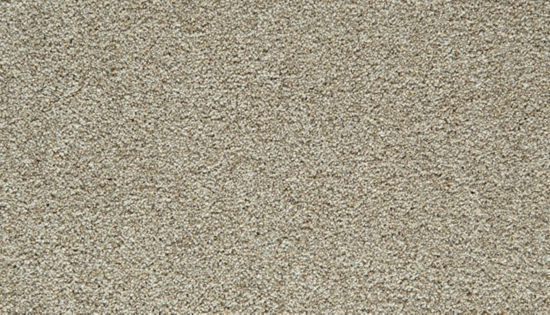 Mohawk Flooring Cozy Companion III